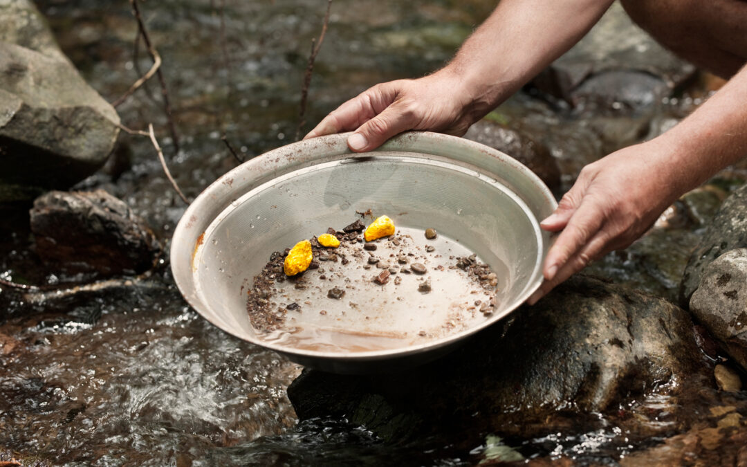 Digital Leads: Are You Overlooking a Hidden Gold Mine?