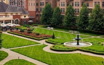 How I Got My Sales Momentum Unstuck: The Human Side of Census Improvement